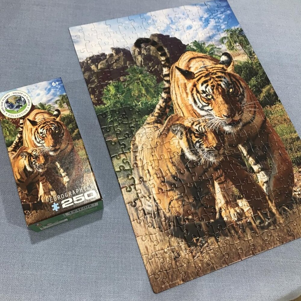 Eurographics Tigers 250-Piece Puzzle Pieces Jigsaw Eurographics Puzzle New!
